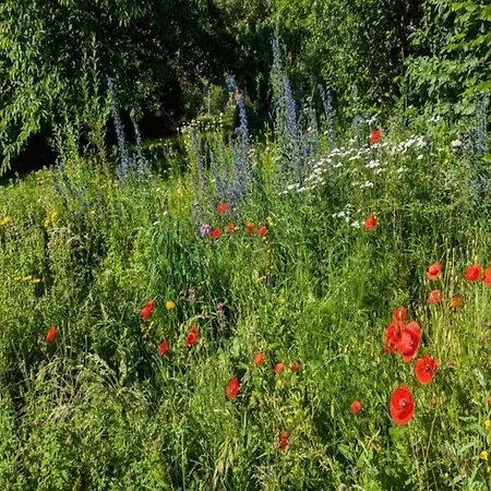 Nature Escape In Fuldabruck, Cleaning Included * Fuldabruck